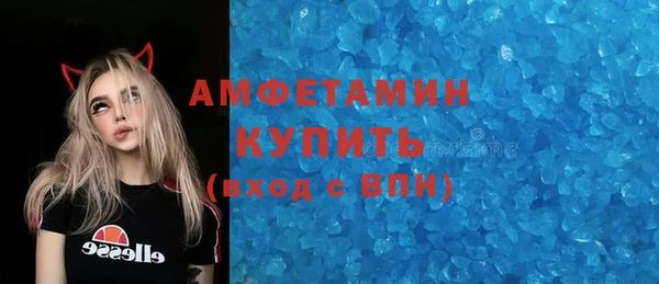 гидра Каменногорск