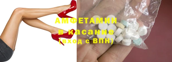 гидра Каменногорск