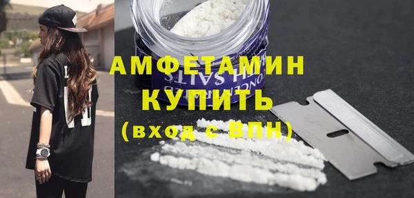 гидра Каменногорск